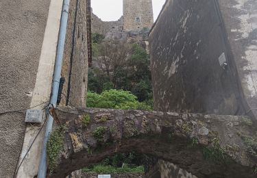 Trail Walking Saint-Jean-de-Buèges - St Jean de Buèges  - Photo