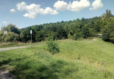 Tocht Te voet Bruchsal - BR - 13 Untergrombach Ungeheuerklamm Weierle - Photo