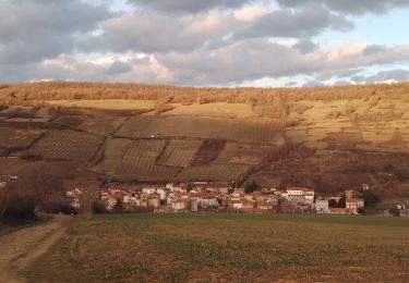Tocht Stappen Boudes - la vallée des Saints - Photo