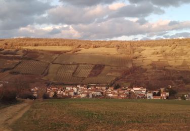 Excursión Senderismo Boudes - la vallée des Saints - Photo