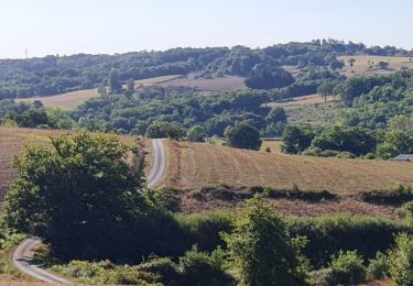 Excursión Senderismo Verneuil-sur-Vienne - la Merlie - Photo