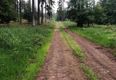 Randonnée Vélo de route Bullange - Olaftalsperre  - Photo