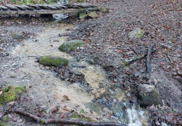 Excursión Senderismo Husseren-les-Châteaux - Husseren les Châteaux - Photo