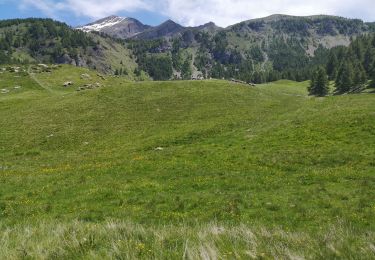 Trail Walking Orcières - Cabanes de Tante Yvonne et de Combeau. 21/06/20 - Photo
