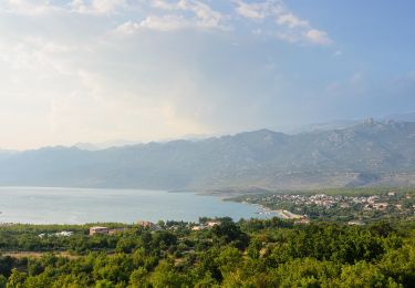 Tour Zu Fuß  - Modrič - Vlaški Grad - Photo