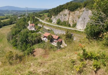 Randonnée Marche Cruseilles - au dessus de cruseilles - Photo