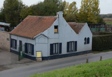 Randonnée A pied Zele - Scheldemeersenpad - Photo