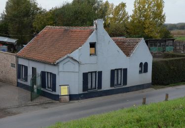 Tour Zu Fuß Zele - Scheldemeersenpad - Photo