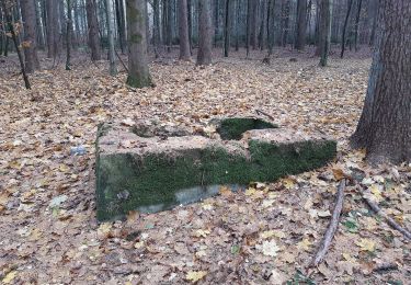 Randonnée A pied Jettingen-Scheppach - Wallfahrtsweg Violau - Photo