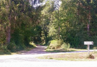 Tocht Noords wandelen Manzat - Marmoizou par Laty  - Photo