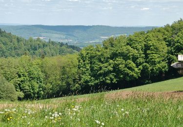 Tocht Te voet Reichelsheim (Odenwald) - Rundwanderweg Reichelsheim Freiheit 5: Germannshöhen-Weg - Photo