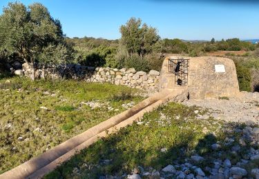 Excursión Senderismo Caves - Caves sentier des garrigues  - Photo