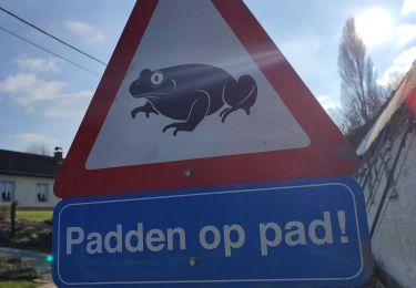 Tour Wandern Brakel - geutelingenpad - Photo
