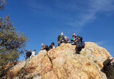 Excursión Senderismo Bagnols-en-Forêt - le pic de la gardiette - Photo