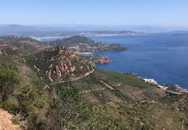 Excursión Senderismo Saint-Raphaël - Cap Roux - Photo