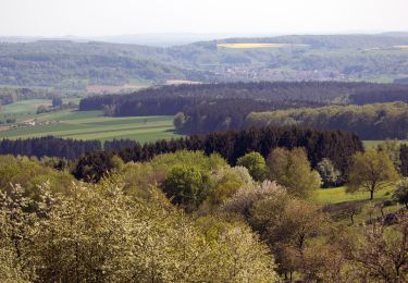 Excursión A pie Weiskirchen - 2-Täler-Weg - Photo