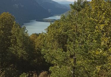 Trail Walking Condes - Condes Oliferne - Photo