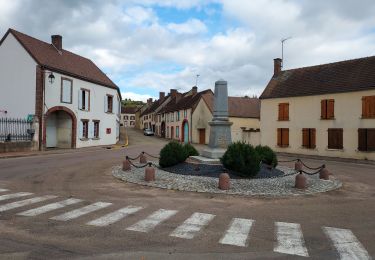 Randonnée Vélo de route Molinons - EXT 75 Molinons-01 - Photo