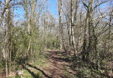 Randonnée Marche Plombières - Plombières  - Photo