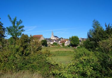 Percorso Marcia Sainte-Maure-de-Touraine - Sainte-Maure-de-Touraine - GR655 Sainte-Catherine-de-Fierbois - 23.7km 225m 5h10 (25mn) - 2022 09 11 - Photo