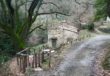 Tour Zu Fuß Sesto Fiorentino - Sentiero CAI 1 - Sez. Sesto F.no - Photo