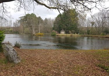 Excursión Senderismo Les Fougerêts - GR_347_AB_02_Fougerets_St-Laurent-Oust_20190324 - Photo