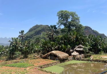 Trail Walking  - Ha Giang Nature - Photo