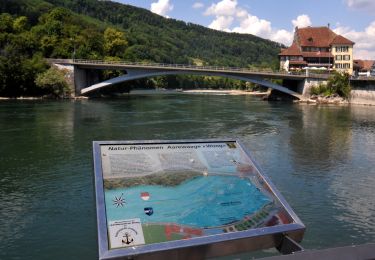 Percorso A piedi Aarburg - Sälischlössli - Aarburg - Photo