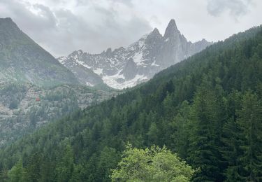 Tour Wandern Chamonix-Mont-Blanc - Chamonix : Les Bois - le chapeau  - Photo