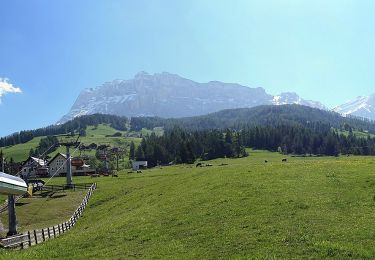 Tocht Te voet La Val - Wengen - La Valle - IT-8 - Photo