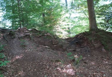 Randonnée A pied Wœrth - Rectangle rouge barré de blanc - Photo