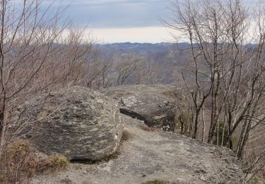 Trail On foot Borgo Tossignano - IT-701 - Photo