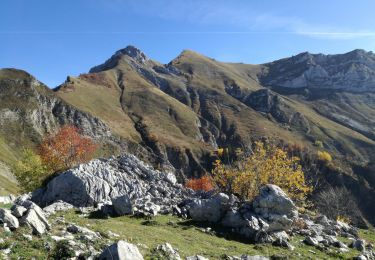 Randonnée Marche Jarsy - PLAN DE LA LIMACE - Photo