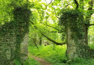 Excursión Senderismo Poigny-la-Forêt - rochers d'angennes mai 2019 - Photo