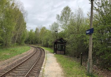 Trail On foot Bad Brambach - Wanderweg gelber Strich - Photo