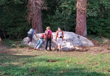 Trail Walking Domme - verlac - Photo