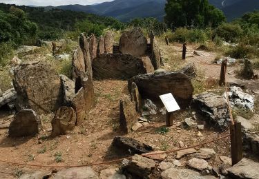 Tocht Stappen La Londe-les-Maures - De Lalonde-Valcros au dolmen de Gautabry - Photo