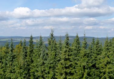 Percorso A piedi Winterberg - Züschen Rundweg Z2 Ahrentalweg - Photo