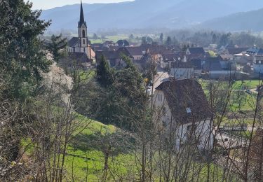 Randonnée Marche Gunsbach - Sentier Albert Schweitzer - Photo