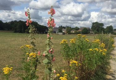 Tocht Stappen Thuin - 68.709 Ragnies -  Leers et Fosteau - Photo