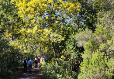 Tocht Stappen Roquebrune-sur-Argens - rando 3 croix - Photo