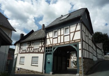 Percorso A piedi Waldsolms - Wanderwege Brandoberndorf - Schmetterling - Photo