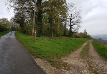Trail Walking Brasles - Brasles du 16/04/2019 - Photo