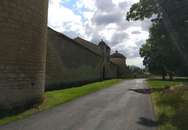 Randonnée V.T.T. Chauray - 2019-06-06 VTT vers Echiré - Photo