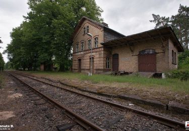 Randonnée A pied Międzyrzecz - Kursko-Dabie-Miedzyrzecz - Photo