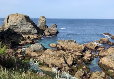 Randonnée Marche Sauzon - Poulains Port Coton - Photo