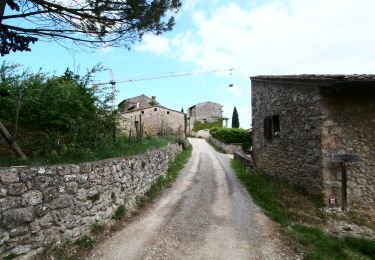 Percorso A piedi Siena - IT-113 - Photo