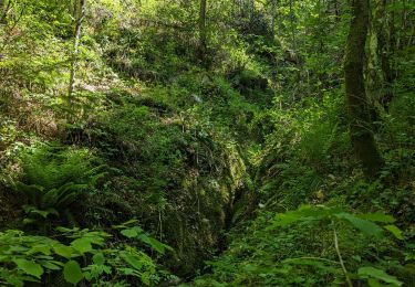 Tour Wandern Soudorgues - La Vallée Borgne - Photo