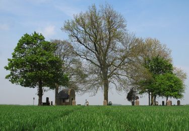 Tocht Te voet Zoutleeuw - Kempinnewandeling - Photo
