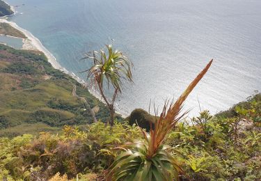 Tour Wandern Hienghène - Les Roches de la Ouaïème - Hienghène (NC) - Photo